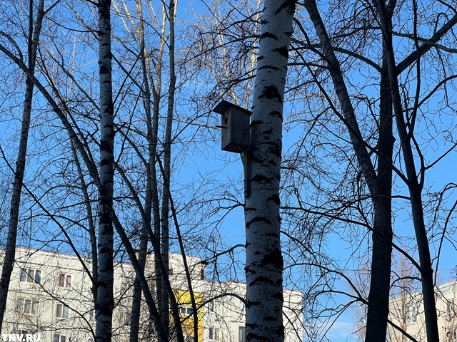 Еще один рекорд: 27 марта в Казани повторило максимум шестилетней давности