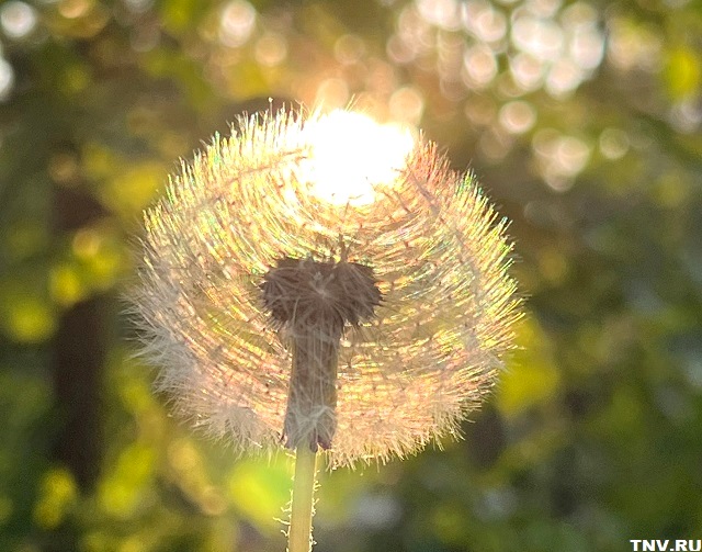 Прохлада не за горами: стало известно, как долго продержится жара в Татарстане