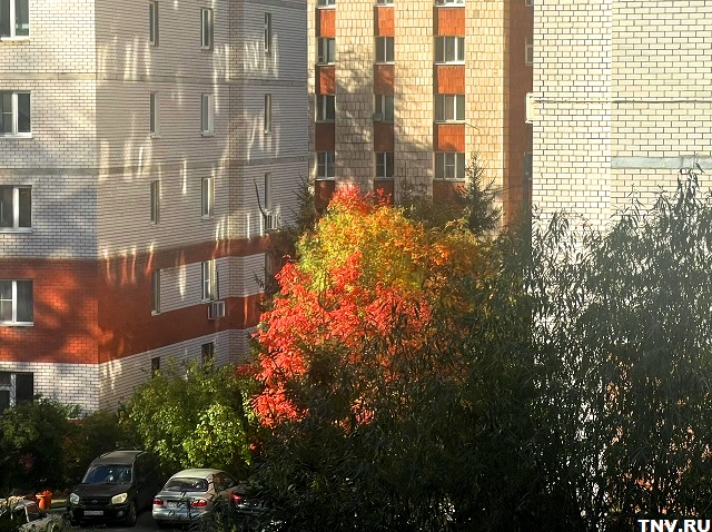 Это не бабье лето: в Гидрометцентре Татарстана призвали не ждать тепла