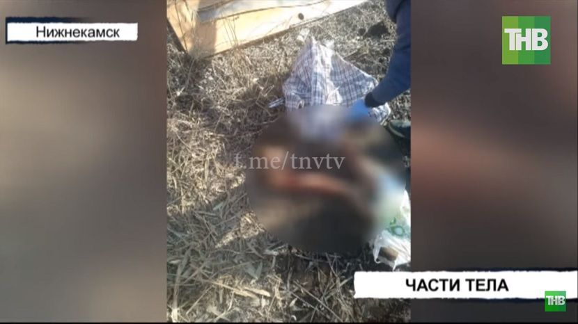 В Нижнекамске продолжают обнаруживать фрагменты человеческого тела