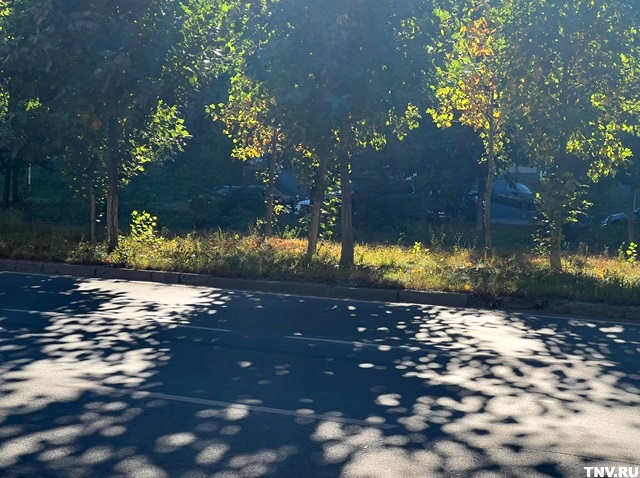 Ненастное завершение выходных прочат Татарстану синоптики