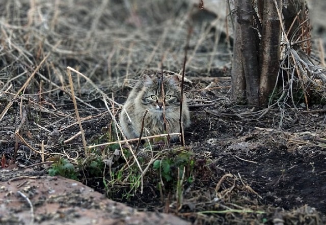 Дожди и потепление до +20 градусов ожидаются в Татарстане в начале рабочей недели