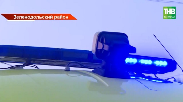 Трагедия потрясла весь Татарстан: растерзанная псами девочка в реанимации, Минниханов потребовал жестких мер