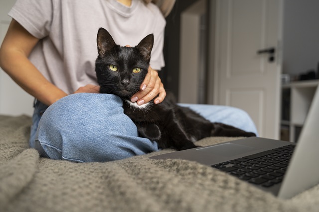 Ученые заявили, что кошки снижают у их хозяев риск смерти от сердечных заболеваний