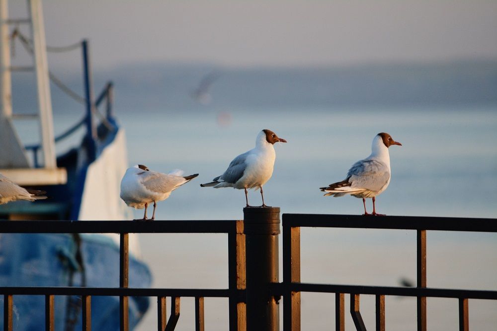 Облачность и кратковременные дожди: 26 мая в Татарстане будет пасмурно