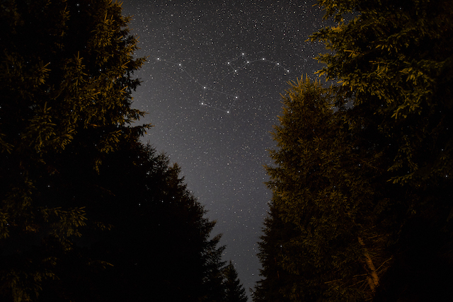 Небо над Татарстаном озарят Персеиды: когда и где наблюдать