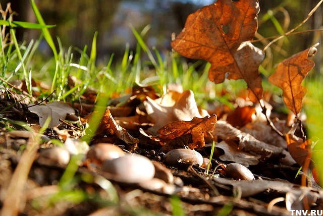 Штормовое предупреждение в Татарстане продлили до 27 сентября 