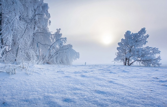 «Морозный купол»: где в России ждать -50 градусов, а где — аномальную «оттепель»