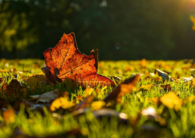 Осеннее настроение захватывает Татарстан: погода недели 