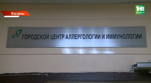 Сфинксы не спасут: врач из Казани развеяла главные мифы об аллергии