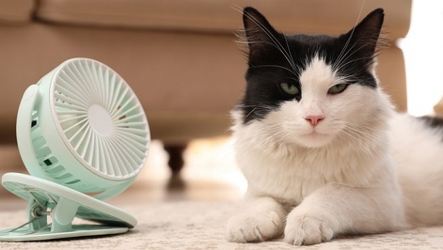 Сильный ветер, кратковременные дожди и 37-градусная жара накроют Татарстан 10 июля