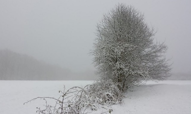 Опасная погода накроет более 10 регионов РФ, включая Поволжье