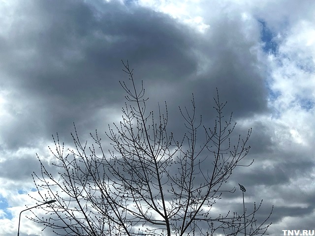 Сильный ветер настигнет Татарстан в завершение рабочей недели