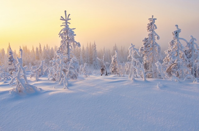 32-градусные морозы анонсировал Вильфанд в ПФО