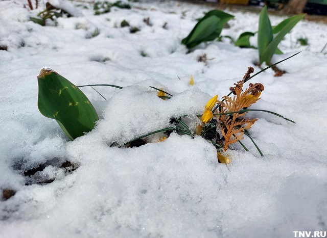 Гидрометцентр анонсировал до 100% от месячной нормы осадков в центре РФ