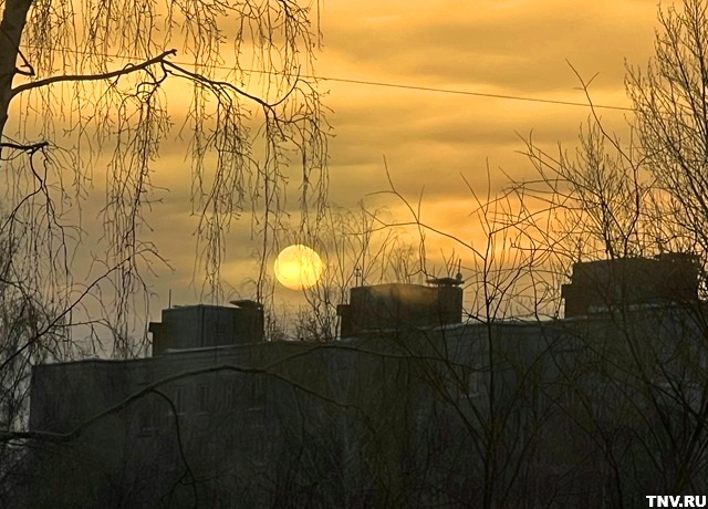 «Это смешно»: Вильфанд об оттепели там, где должны быть 45-градусные морозы