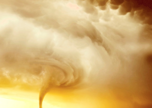 Гидрометцентр предупредил о пыльной буре в четырех регионах РФ