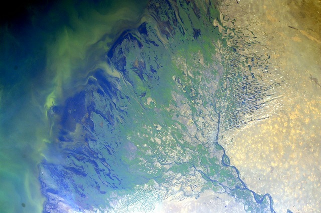 «Цветок среди песков»: космонавт Олег Артемьев показал дельту Волги с борта МКС