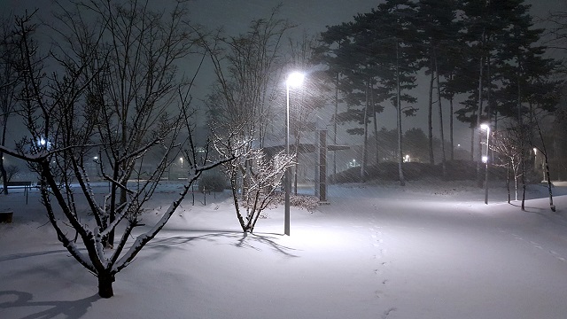Гидрометцентр: в ближайшие сутки в Татарстане разыграется зимняя непогода