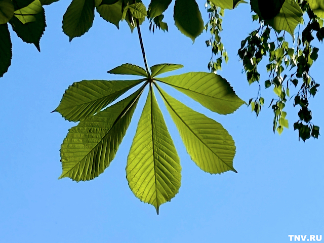 «Жары не будет»: майское тепло сменится резким похолоданием