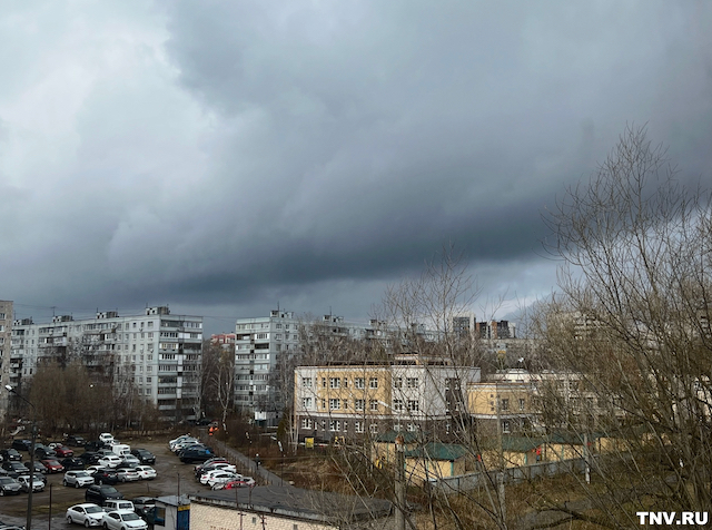 Гидрометцентр: штормовой ветер и гололедица обрушатся на Татарстан