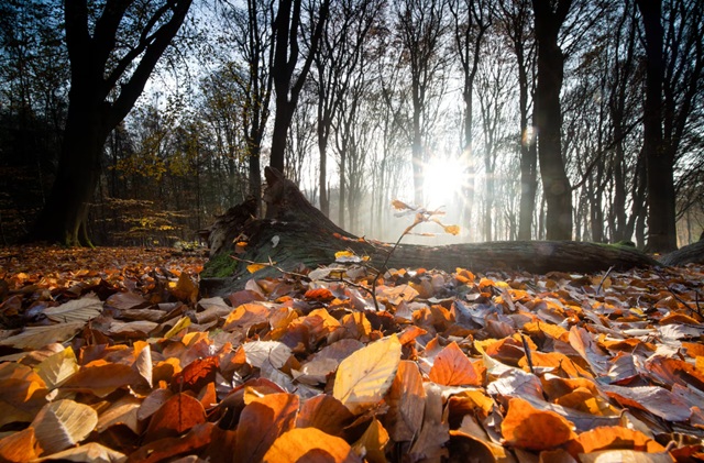 В преддверии выходных в Татарстане распогодится до +9 градусов