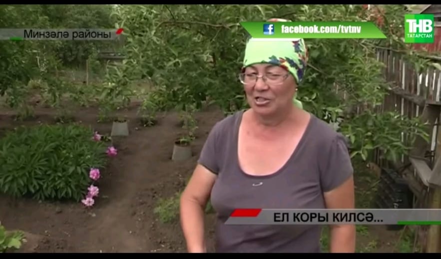 Яңгырсыз кырларда уҗымнар саргая башлаган