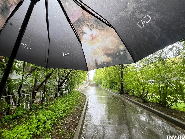 Сильный ветер и грозовые дожди обрушатся на несколько регионов РФ