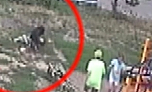 В Казани на детской площадке ребенок подвергся нападению пса, отпущенного на самовыгул