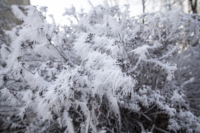 В ЮАР после обильного снегопада вернется теплая погода