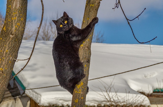 Понижение температуры воздуха до -13 градусов ожидается в Татарстане в ближайшие сутки