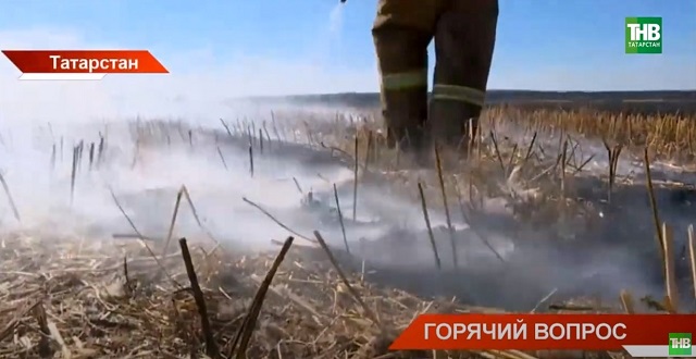 30-градусная жара в РТ: как не допустить пожара, и сколько будут стоить «игры с огнем»