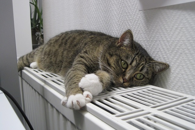 Стало известно, когда в Казани стартует отопительный сезон