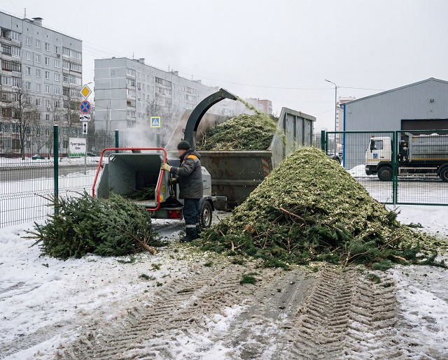Казан халкы “Эх, чыршысы” акциясендә 3 мең ылыслы агач тапшырган