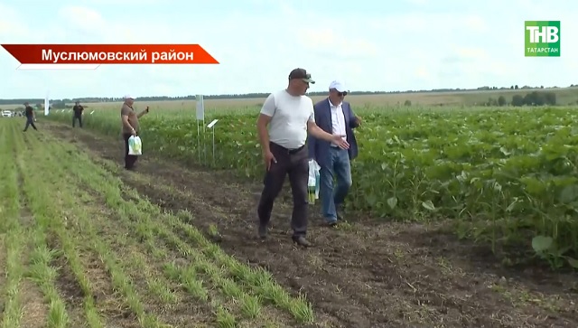 Наука на открытом воздухе: экспериментальный полигон в Татарстане стал центром аграрных инноваций