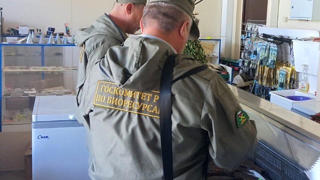 В Татарстане пресекли незаконную торговлю краснокнижной стерлядью