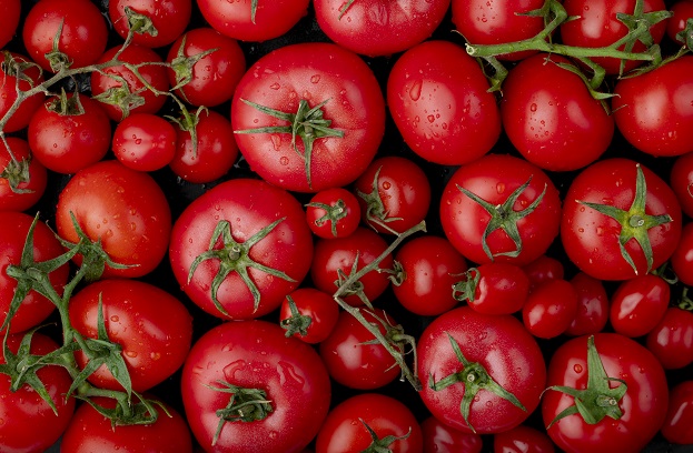 Как спасти урожай томатов в период дождей, рассказали татарстанцам