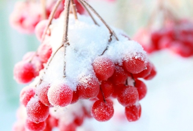 Согретый Гольфстримом воздух из Атлантики продолжит трехлетний цикл теплых февралей в РТ