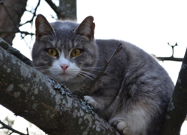 В ближайшие сутки в Татарстане похолодает до +3 градусов