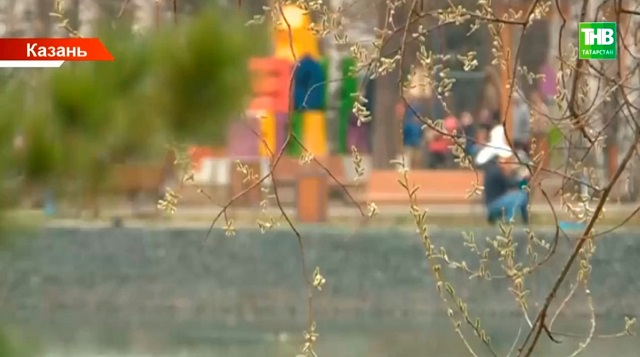 Жители Татарстана могут выбрать парк, сквер или двор, которые обновят в 2026 году