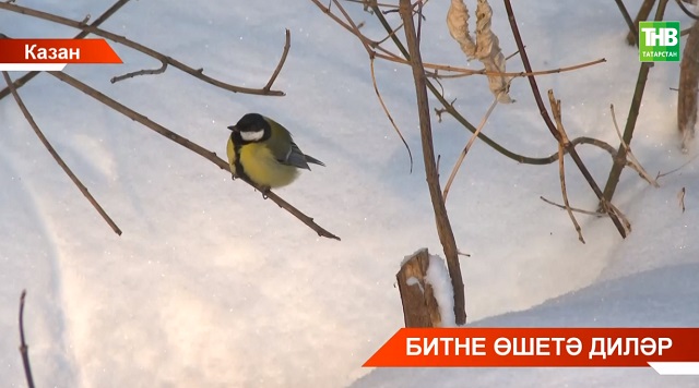 Көннәр кайчан җылыначак?