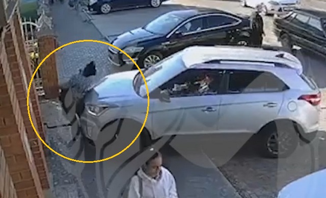 Перепутавшая педали дама на кроссовере впечатала в стену бабушку с внуком – видео