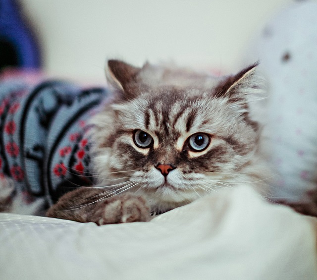 Легким морозом завершится длинная рабочая неделя в Татарстане: прогноз на 1 ноября