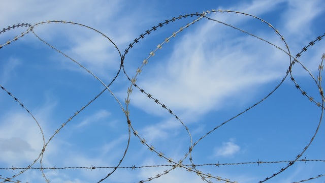 В Татарстане любительницу тихой охоты арестовали на трое суток