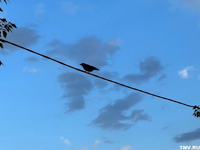 Кардинальные метеоизменения ждут в Татарстан: прогноз на праздничные выходные