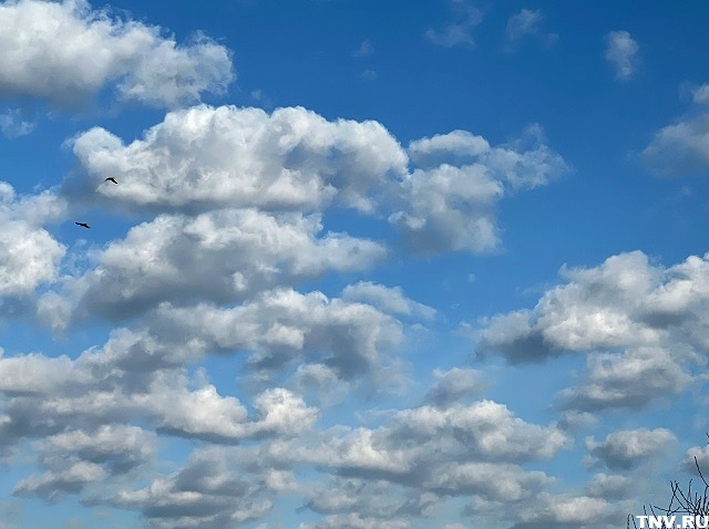 Утро в тумане, день под грозой: какая погода ждёт татарстанцев в начале выходных