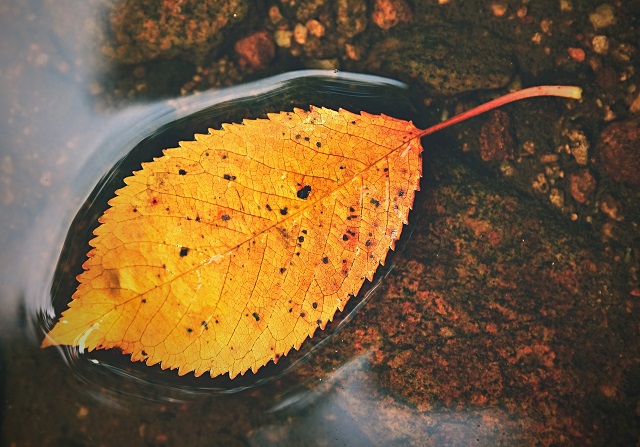 Ясные дни на исходе: Вильфанд предупредил о сильном похолодании в центре РФ