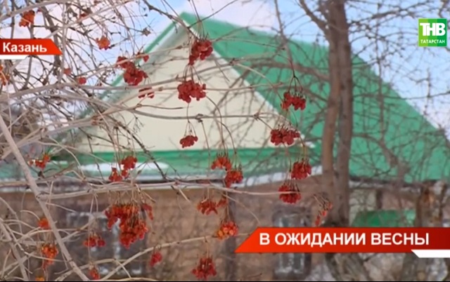 Телеканал ТНВ выяснил, почему коммунальщикам не стоит оправдывать погодой высокие счета за отопления