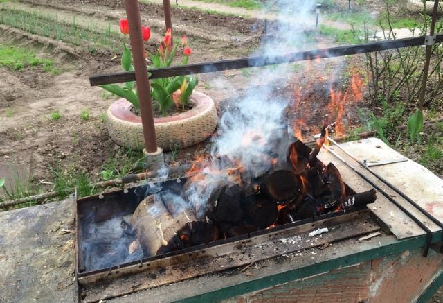 Власти Татарстана анонсировали дату начала особого противопожарного режима