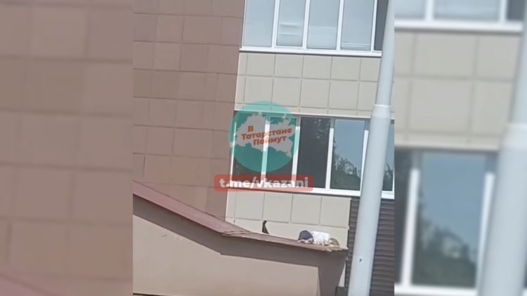 Мывшая окно жительница Нижнекамска выпала из окна 8 этажа